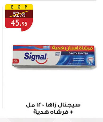سيجنال فرشاة أسنان available at الرايه  ماركت in Egypt - القاهرة