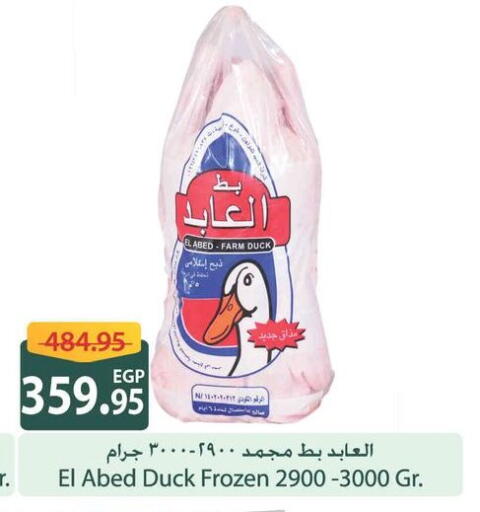 available at سبينس in Egypt - القاهرة
