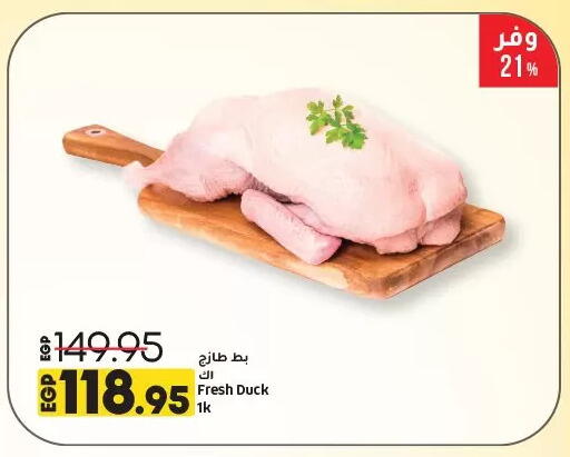 available at لولو هايبرماركت in Egypt - القاهرة