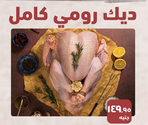 available at الرايه  ماركت in Egypt - القاهرة