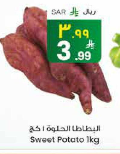 Sweet Potato available at City Flower in KSA, Saudi Arabia, Saudi - Najran