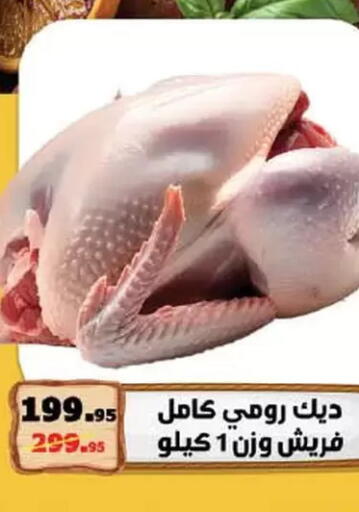 available at محمود الفار in Egypt - القاهرة