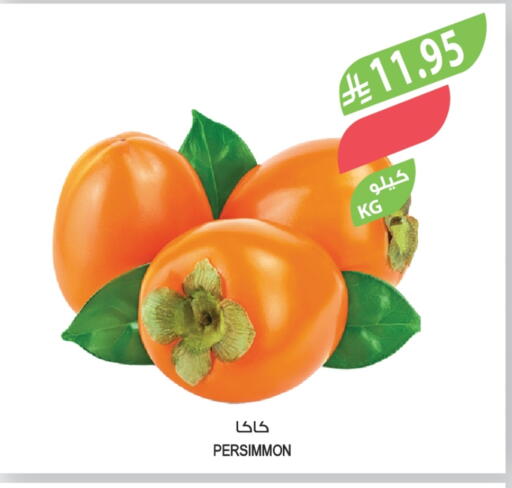 Persimmon available at Farm  in KSA, Saudi Arabia, Saudi - Al Bahah