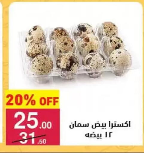 available at Mahmoud El Far in Egypt - Cairo