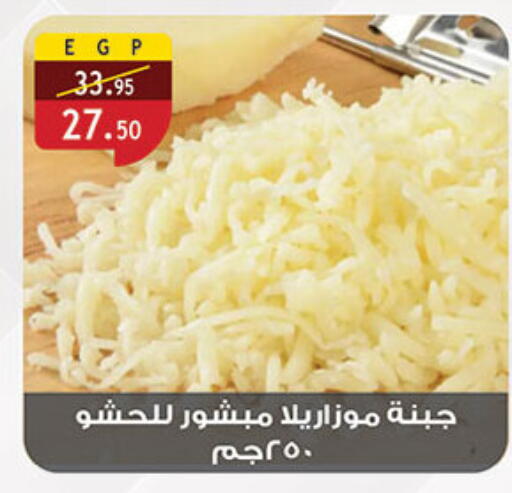 موزاريلا available at الرايه  ماركت in Egypt - القاهرة