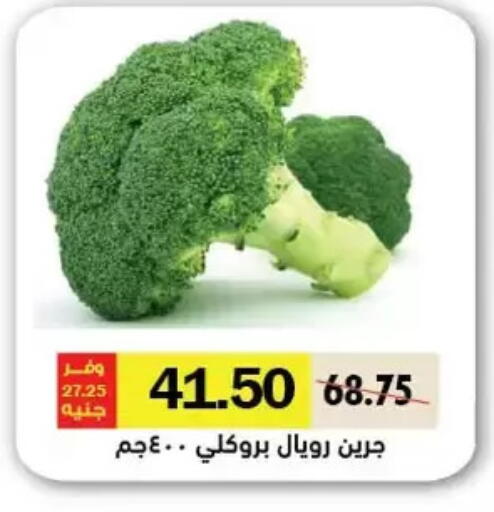 Broccoli available at Royal House in Egypt - Cairo