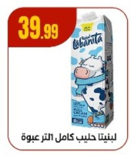available at El Mahlawy Stores in Egypt - Cairo