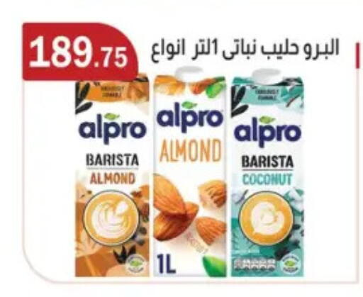 ألبرو حليب بنكهات available at ابا ماركت in Egypt - القاهرة