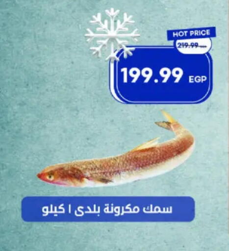 available at مترو ماركت in Egypt - القاهرة