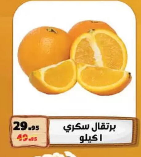 برتقال available at محمود الفار in Egypt - القاهرة