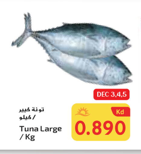 Tuna available at Grand Hyper in Kuwait - Ahmadi Governorate