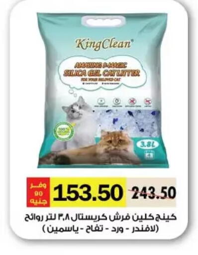 available at Royal House in Egypt - Cairo