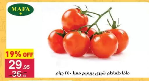 طماطم available at محمود الفار in Egypt - القاهرة