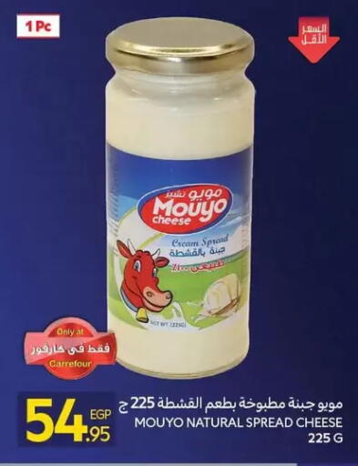 available at كارفور in Egypt - القاهرة