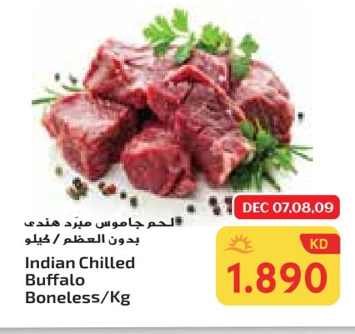 Buffalo available at Grand Costo in Kuwait - Ahmadi Governorate