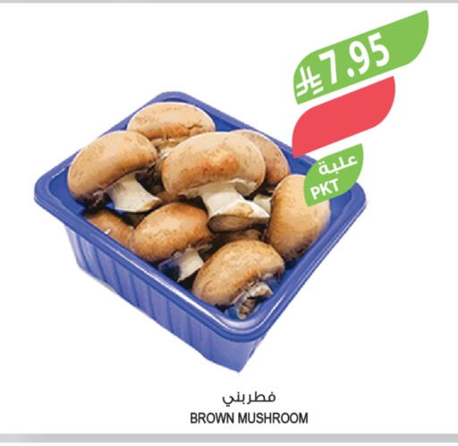 فطر available at المزرعة in مملكة العربية السعودية, السعودية, سعودية - عرعر