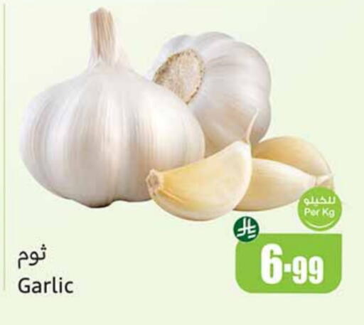 ثوم available at أسواق عبد الله العثيم in مملكة العربية السعودية, السعودية, سعودية - عرعر