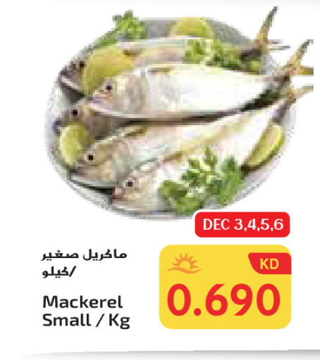 available at Grand Hyper in Kuwait - Ahmadi Governorate