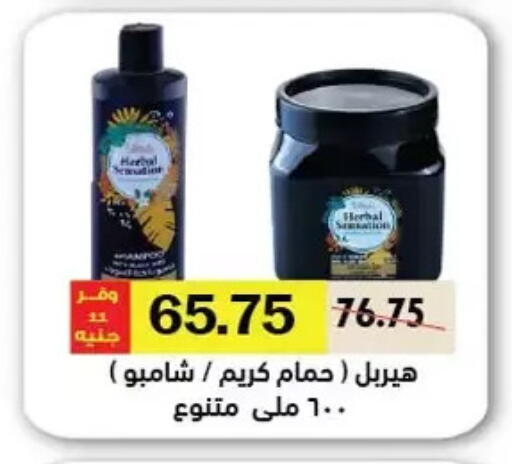 شامبو / بلسم available at رويال هاوس in Egypt - القاهرة