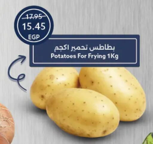 بطاطا available at  أوسكار جراند ستورز  in Egypt - القاهرة
