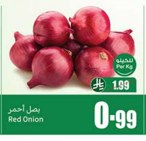 Onion available at Othaim Markets in KSA, Saudi Arabia, Saudi - Jubail