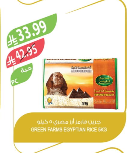 Calrose Rice available at Farm  in KSA, Saudi Arabia, Saudi - Tabuk