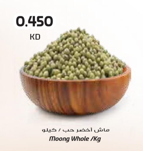 available at جراند كوستو in الكويت - محافظة الأحمدي