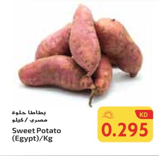 Sweet Potato from Egypt available at Grand Costo in Kuwait - Ahmadi Governorate