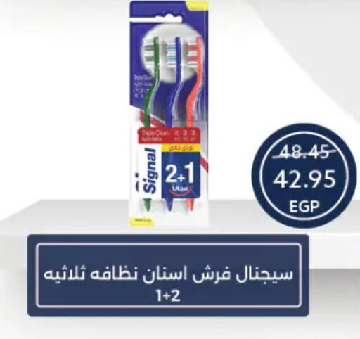سيجنال available at  أوسكار جراند ستورز  in Egypt - القاهرة