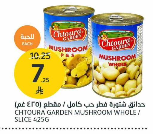 Mushroom available at AlJazera Shopping Center in KSA, Saudi Arabia, Saudi - Riyadh