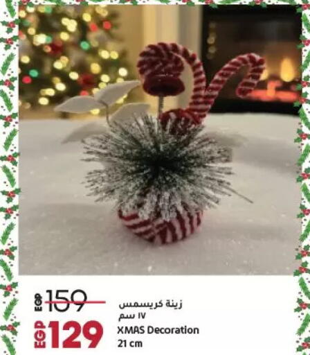 available at Lulu Hypermarket  in Egypt - Cairo