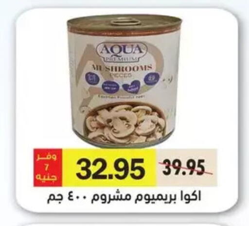 available at Royal House in Egypt - Cairo