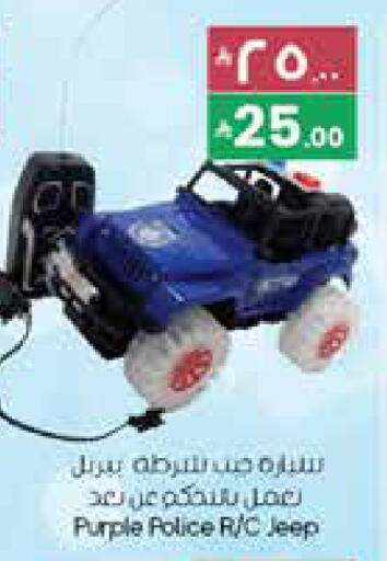 available at City Flower in KSA, Saudi Arabia, Saudi - Al Duwadimi