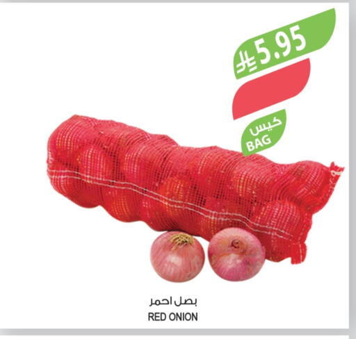 Onion available at Farm  in KSA, Saudi Arabia, Saudi - Al Bahah