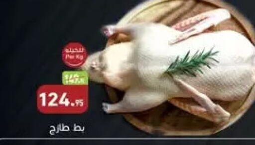 available at أسواق العثيم in Egypt - القاهرة