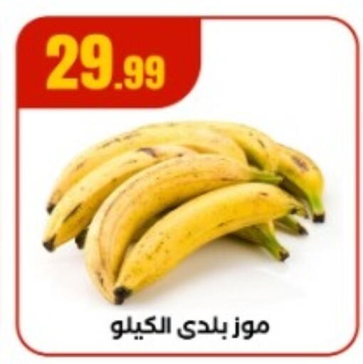 موز available at المحلاوي ستورز in Egypt - القاهرة