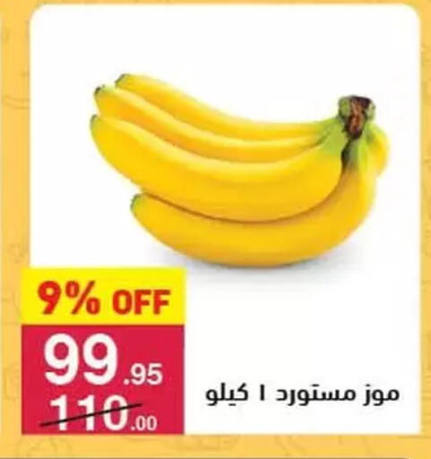 موز available at محمود الفار in Egypt - القاهرة