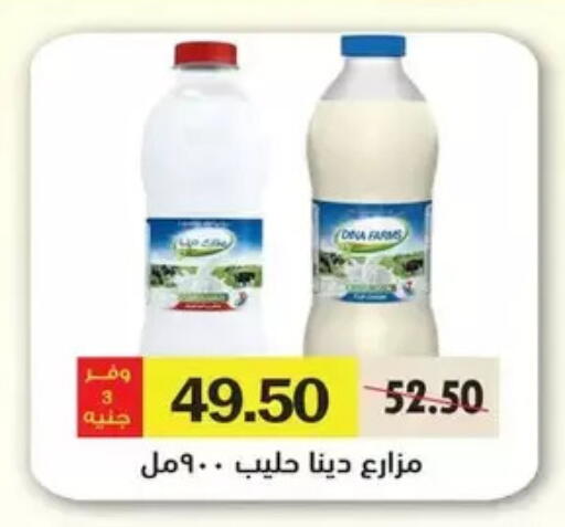 available at رويال هاوس in Egypt - القاهرة