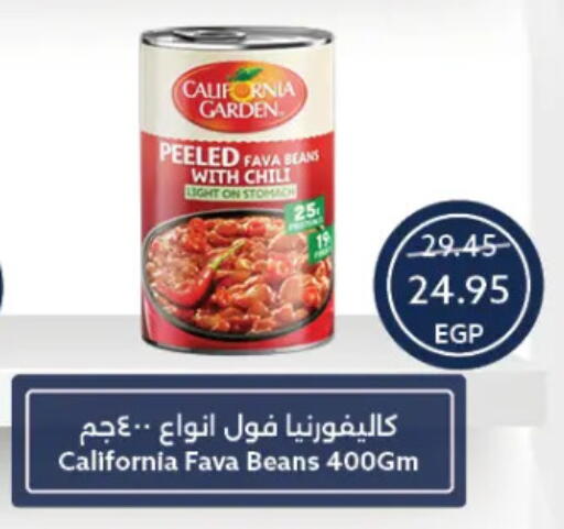 CALIFORNIA Fava Beans available at Oscar Grand Stores  in Egypt - Cairo