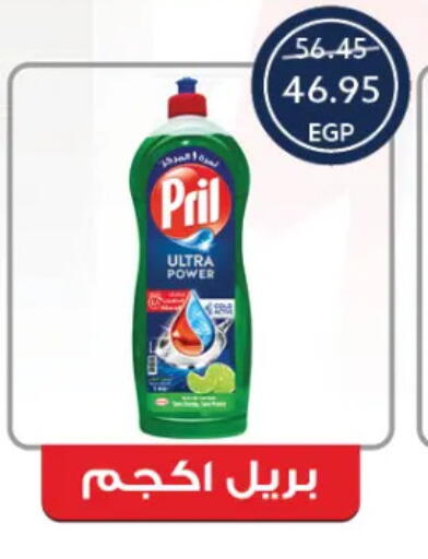 بريل available at  أوسكار جراند ستورز  in Egypt - القاهرة