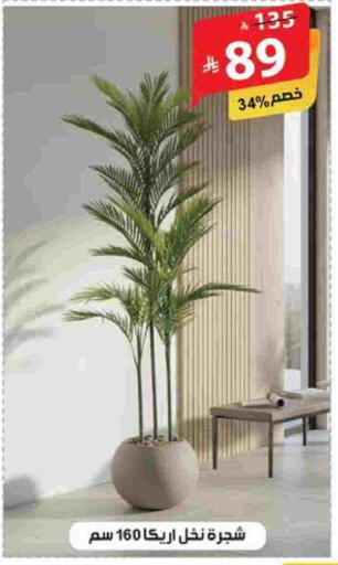 available at الهدايا سنتر in مملكة العربية السعودية, السعودية, سعودية - الطائف