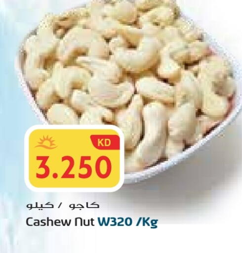 available at Grand Costo in Kuwait - Ahmadi Governorate
