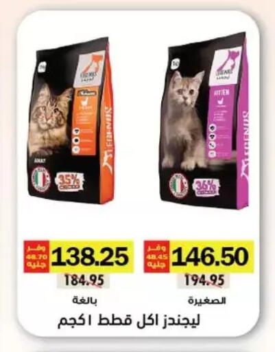 available at Royal House in Egypt - Cairo