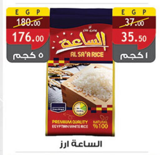 Calrose Rice available at Al Rayah Market   in Egypt - Cairo
