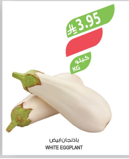 Eggplant available at المزرعة in مملكة العربية السعودية, السعودية, سعودية - عرعر