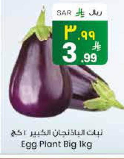 available at City Flower in KSA, Saudi Arabia, Saudi - Najran