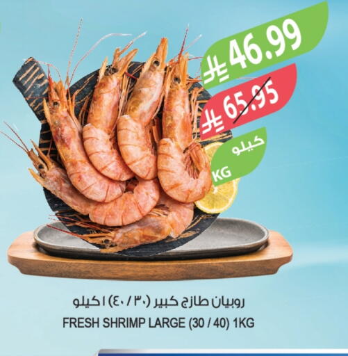 available at Farm  in KSA, Saudi Arabia, Saudi - Al-Kharj