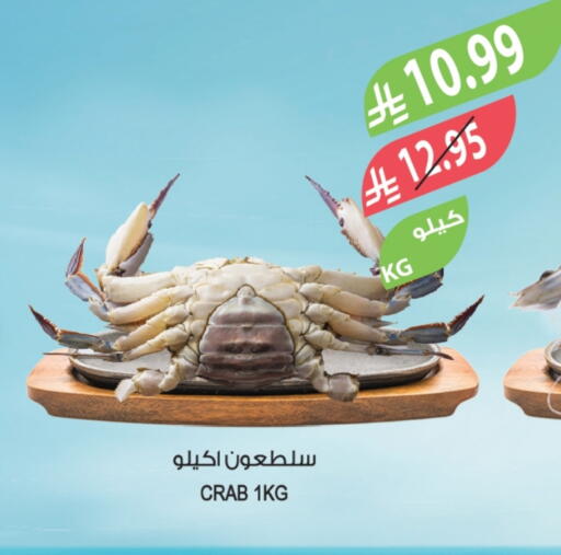 available at Farm  in KSA, Saudi Arabia, Saudi - Al-Kharj