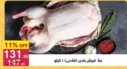 available at محمود الفار in Egypt - القاهرة