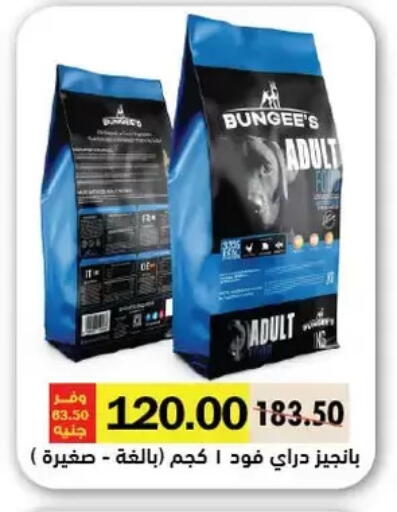 available at Royal House in Egypt - Cairo